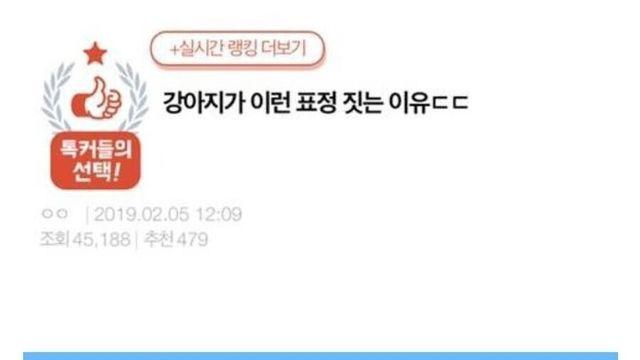 강아지들이 애절한 표정을 짓는 이유