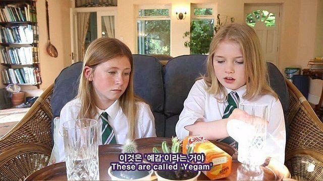 영국 소녀들의 한국 과자 후기