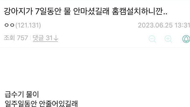 강아지가 물을 안마셔 걱정된 디씨인