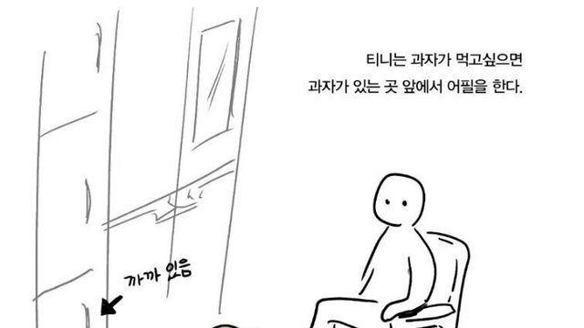 간식이 먹고 싶은 강아지 만화.manhwa