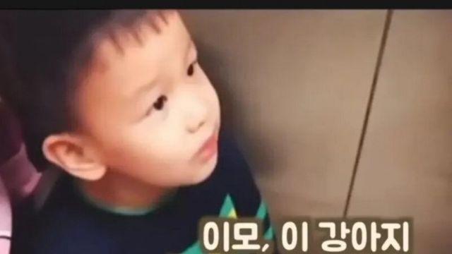 이모, 이 강아지 한 번 만져봐도 돼요?