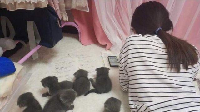 고양이에게 등을 보이면 안되는이유.jpg