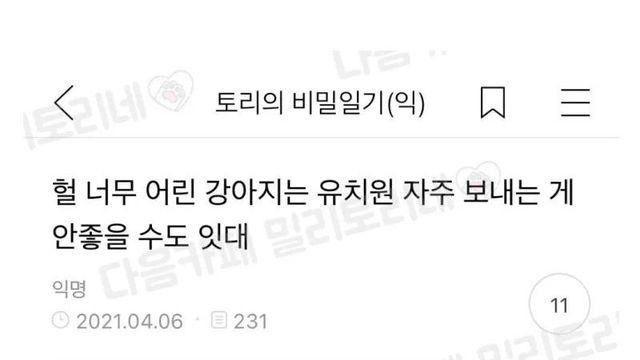 강아지에게도 나이가 중요한 이유