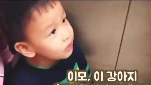 "이모, 이 강아지 한번 만져봐도 돼요?"