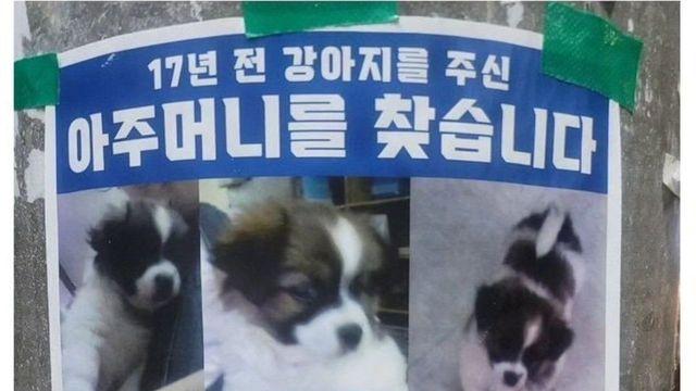 17년 전 강아지를 주신 아주머니를 찾습니다