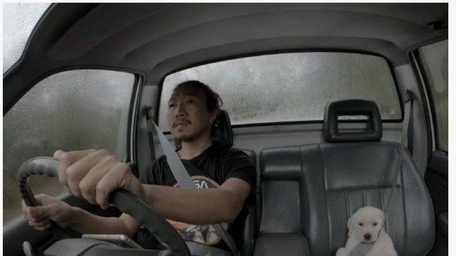 싱글벙글 강아지 성장과정