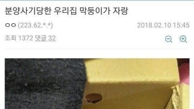 분양사기당한 멍멍이 갤러