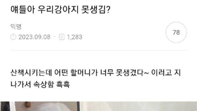 우리 강아지 못 생겼어?? ㅠㅠ