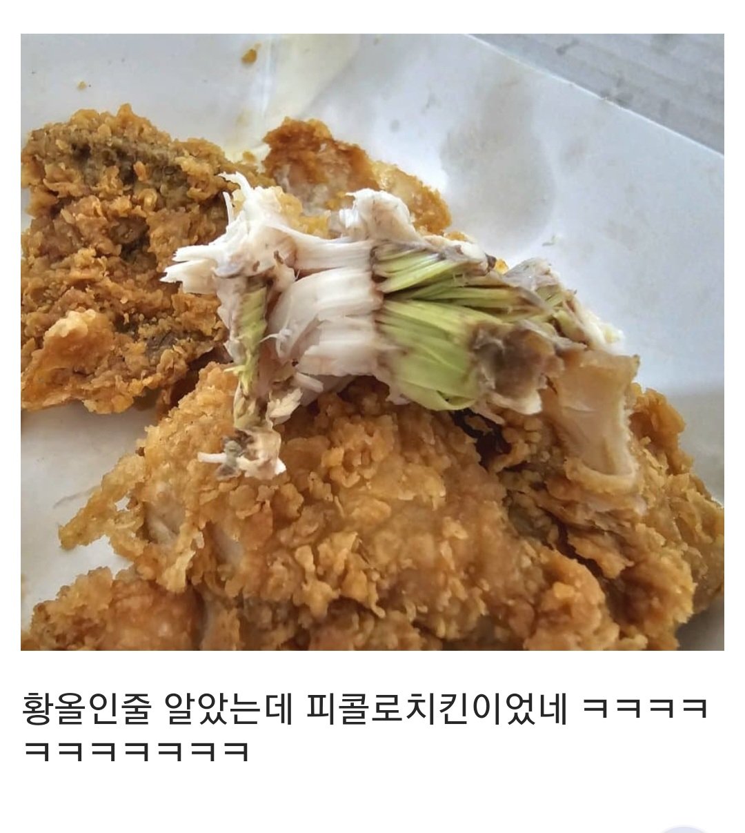 치킨갤 역대급 사건.. 초록색 치킨.jpg