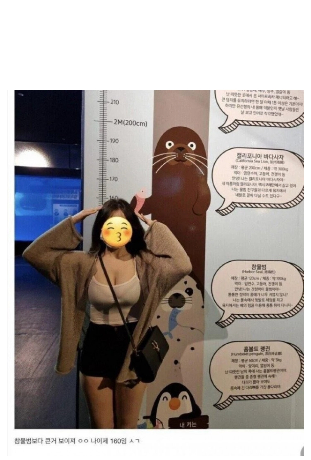 물범보다 큰 여자