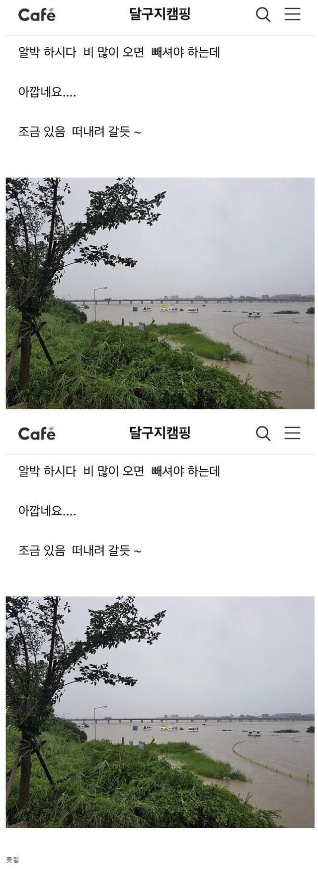 🍊캠핑 좋은 자리 알박하던 사람들 근황🍊