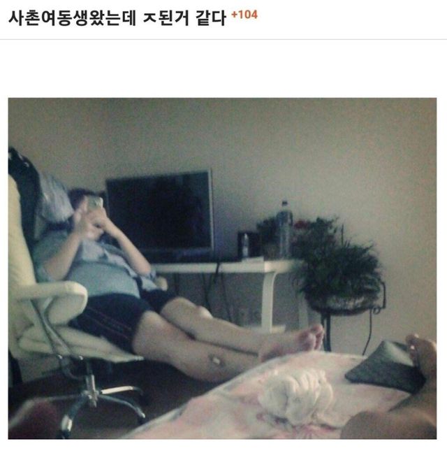 사촌동생 왔는데 ㅈ된것 같다…