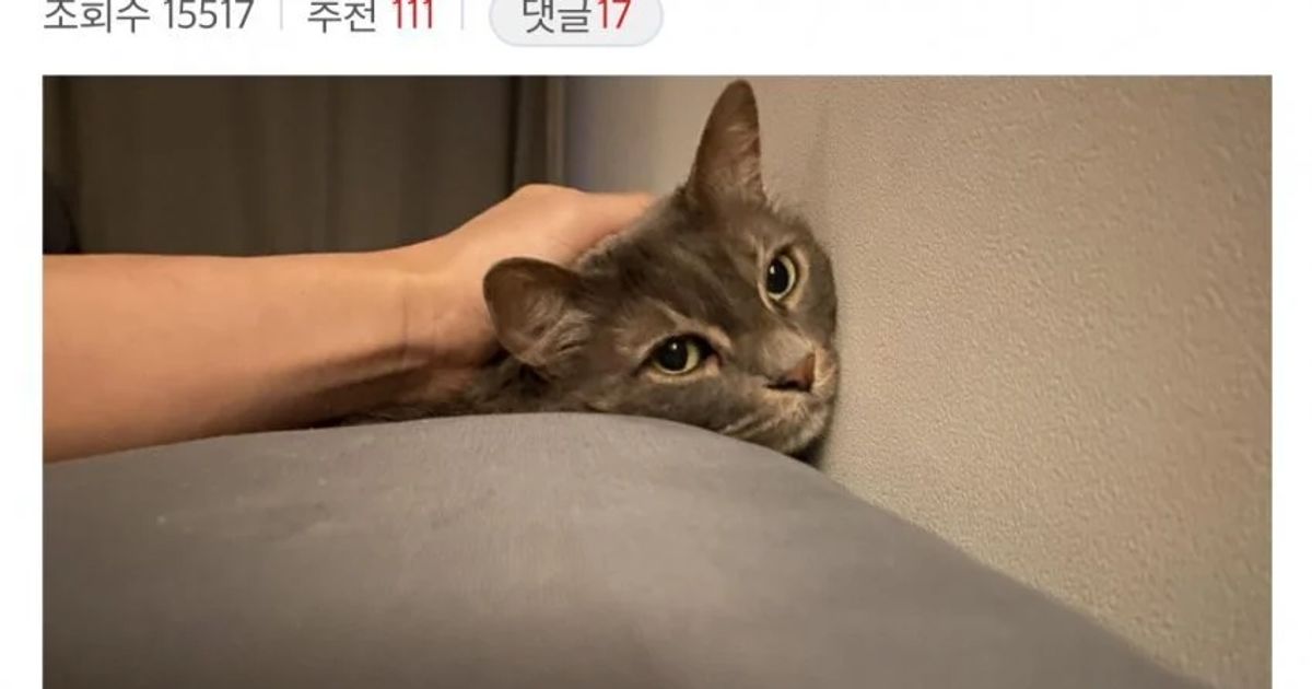 송재림 사망이유로 퍼지는 내용