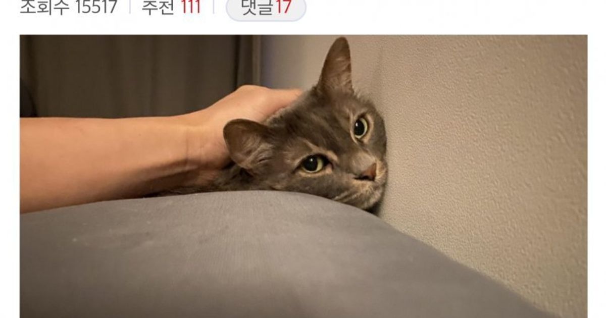 송재림 사망 이유 기자들 사이 퍼지는 내용