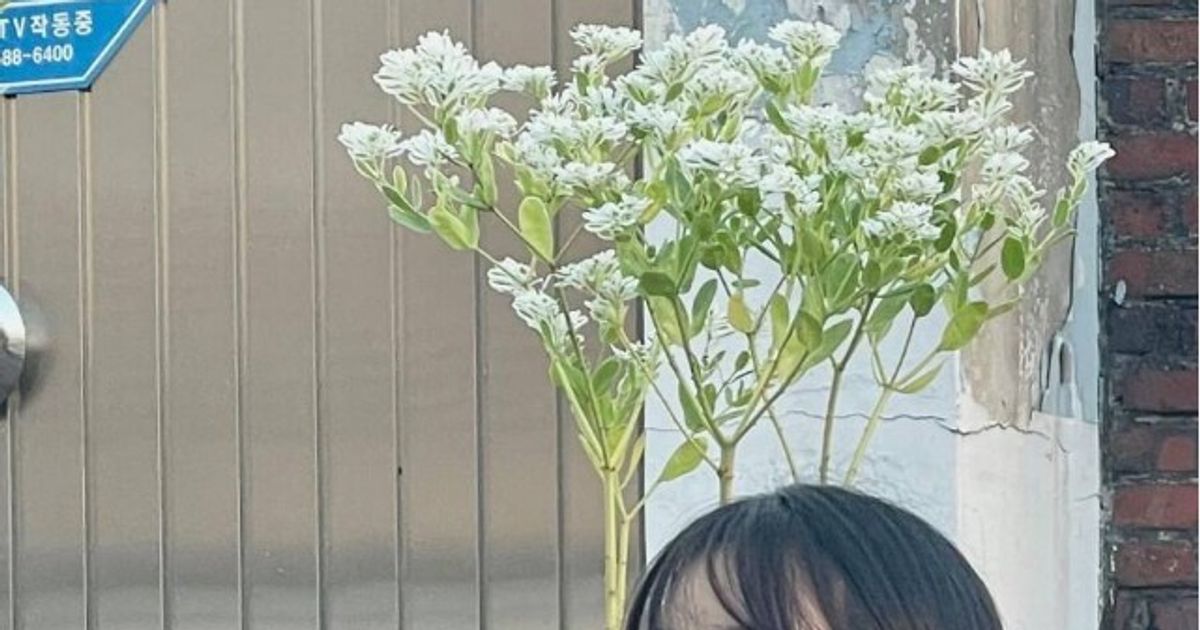 엄청난 미모의 뉴신인 여배우 ㄷㄷ