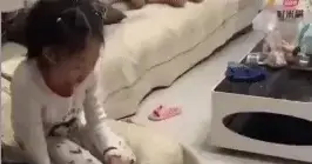 강아지 훈련시키는 여동생