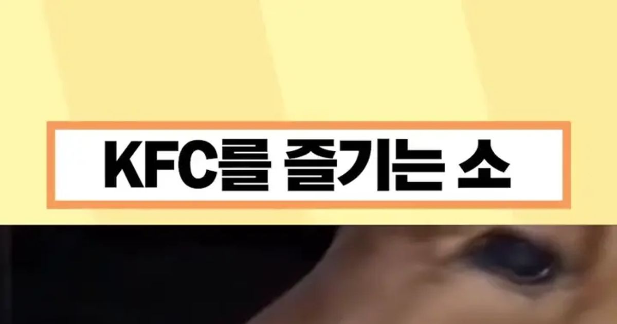KFC를 즐기는 소