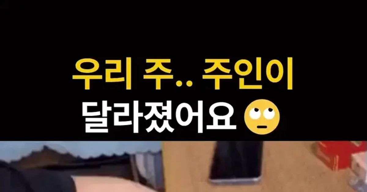 우리 주,, 주인이 달라졌어요