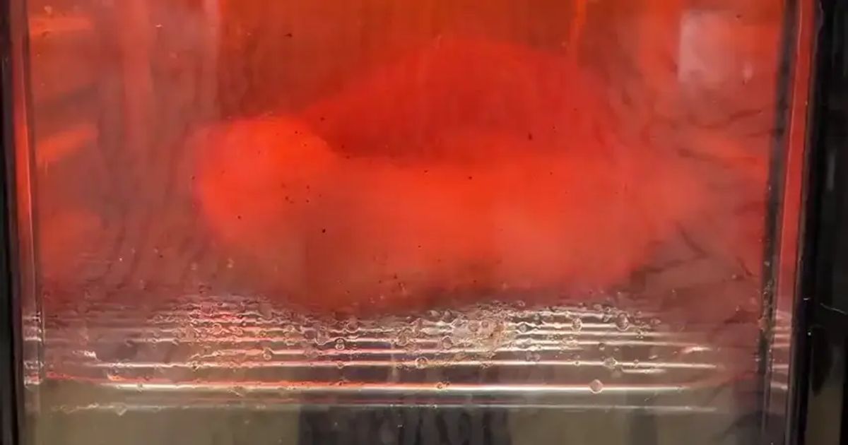 오랜만에 떡갈비보고 흥분한 에어프라이어