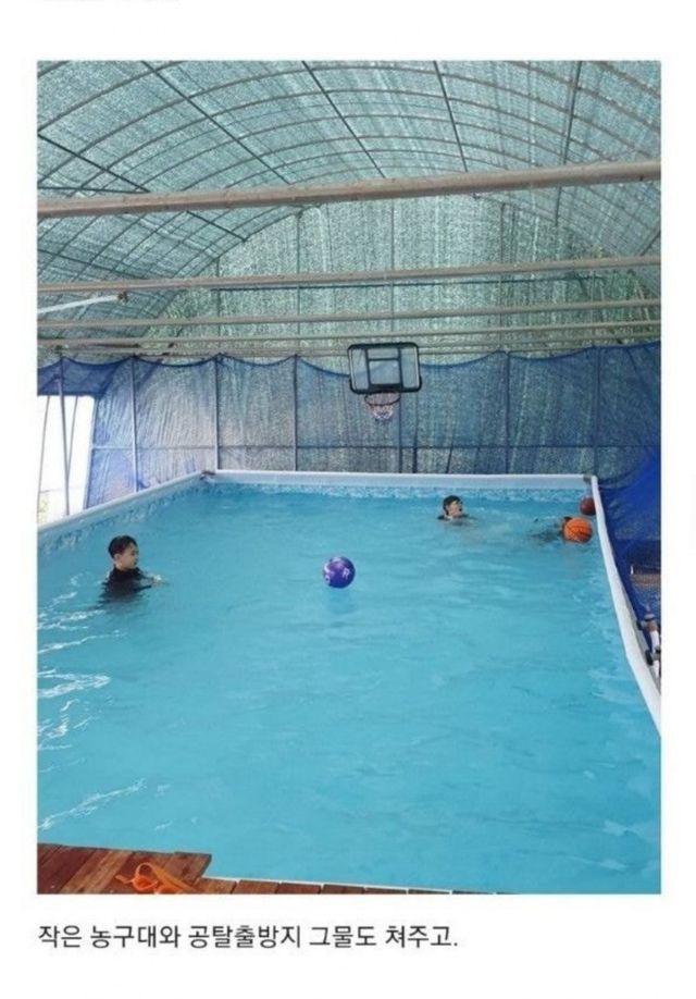집마당 수영장 진짜 결말
