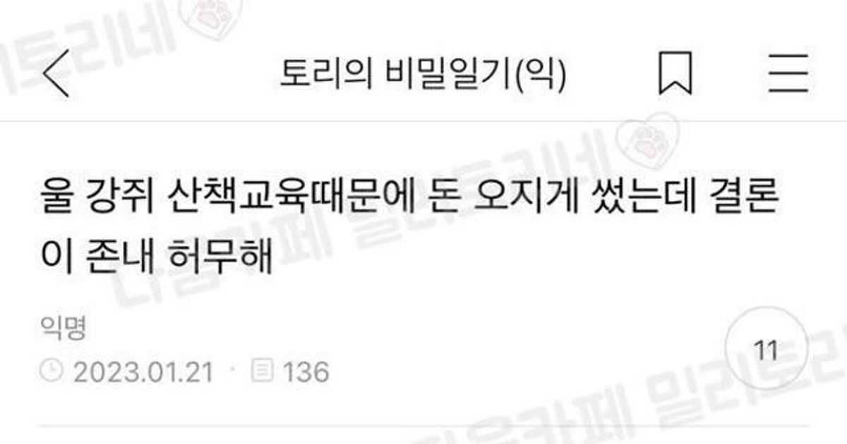 강아지에게 헛돈 쓴 사람