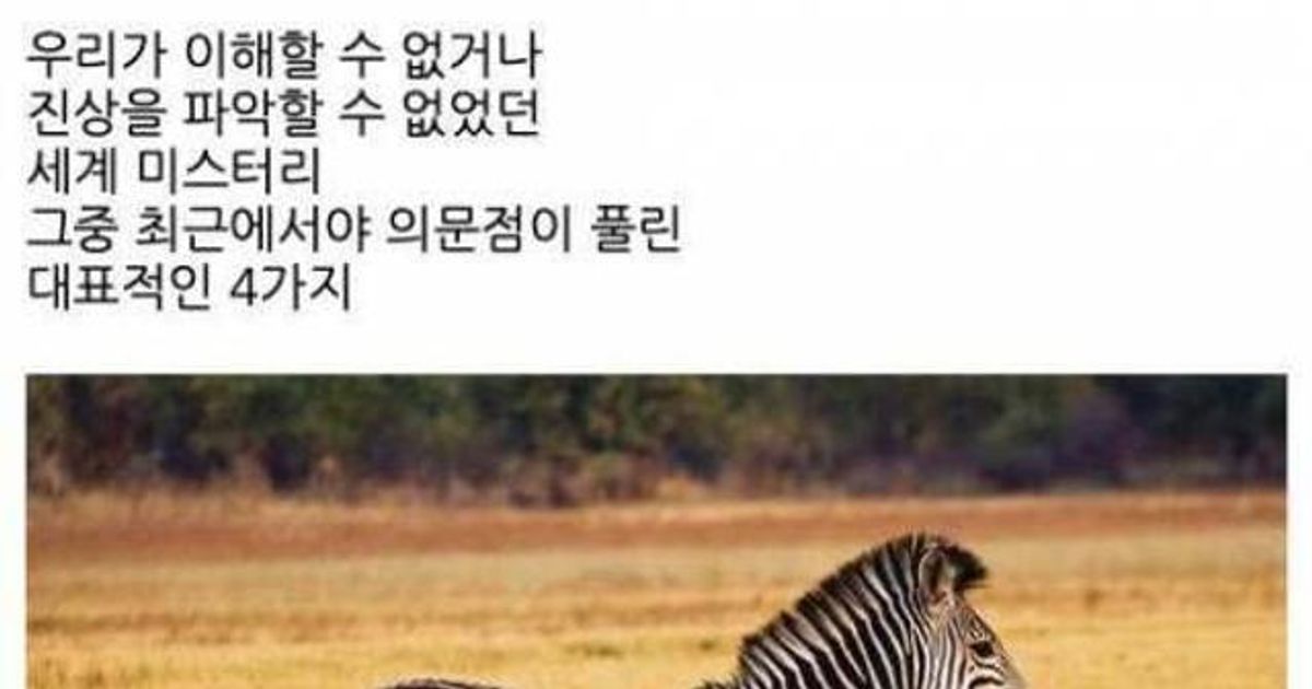 [스압] 지난 1세기 동안 풀린 세계 미스터리 4가지.jpg.jpg