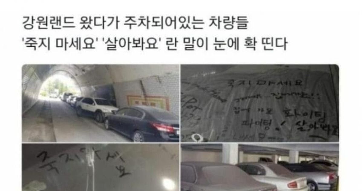 강원랜드 전당포 알바 썰