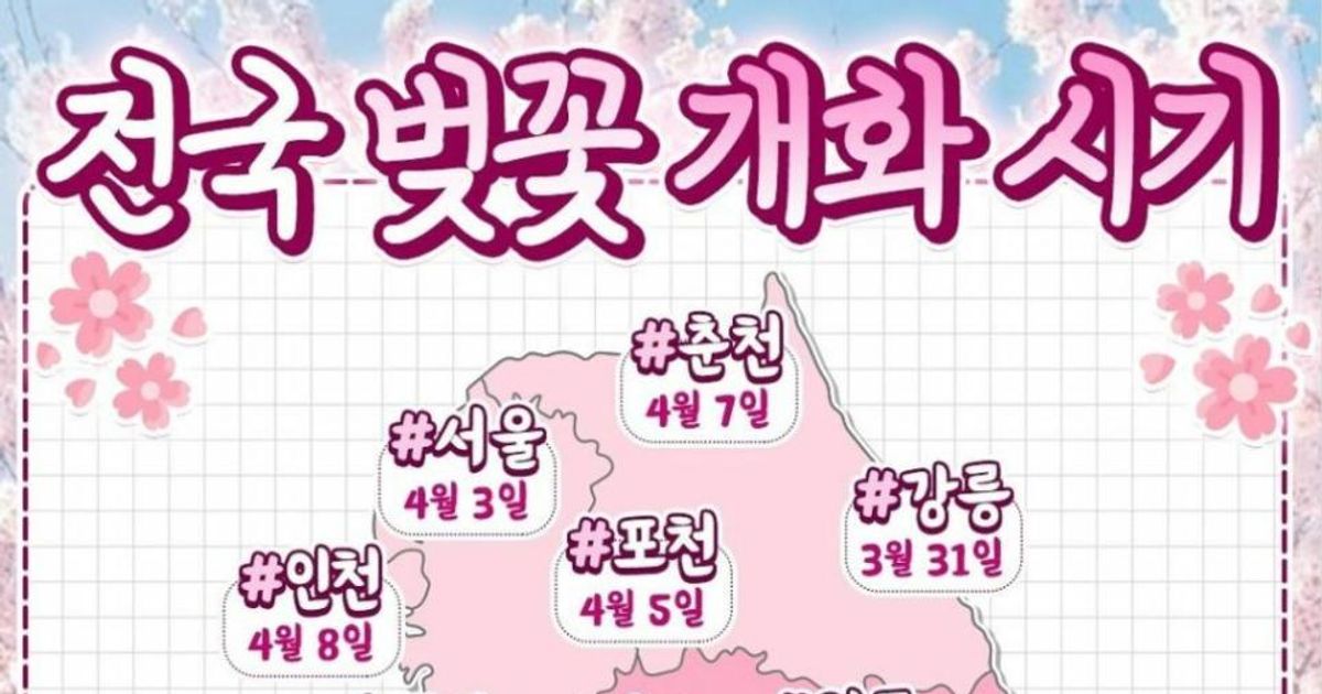 2025 전국 벚꽃 개화 시기