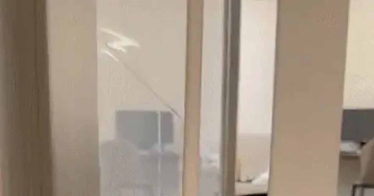 꼭 먹을거다