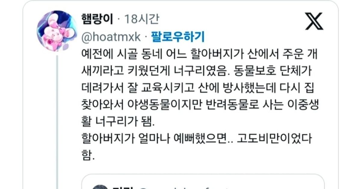 
					시골 할아버지가 산에서 주운 강아지의 반전		,,
				