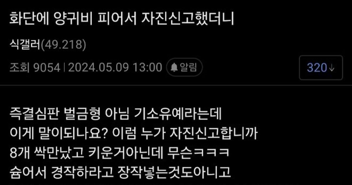식물 갤러리 난리난 양귀비 사건 근황