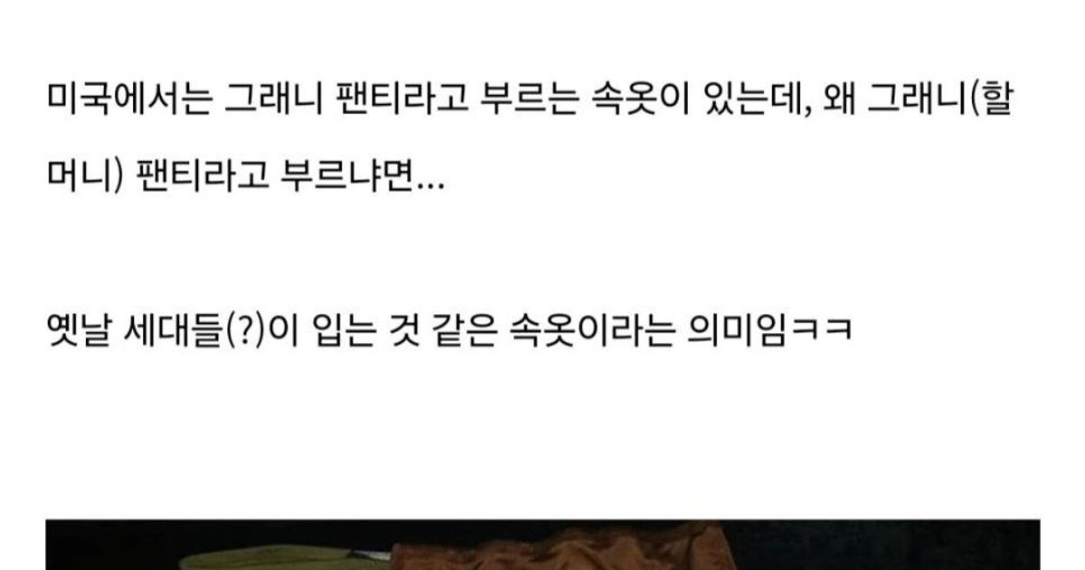 미국 여자들이 싫어한다는 팬티..jpg