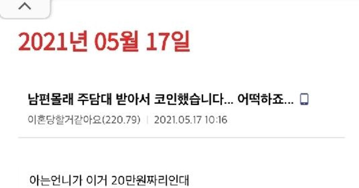 남편 몰래 2억 2천 대출받아 코인에 투자한 아내 총합본.jpg