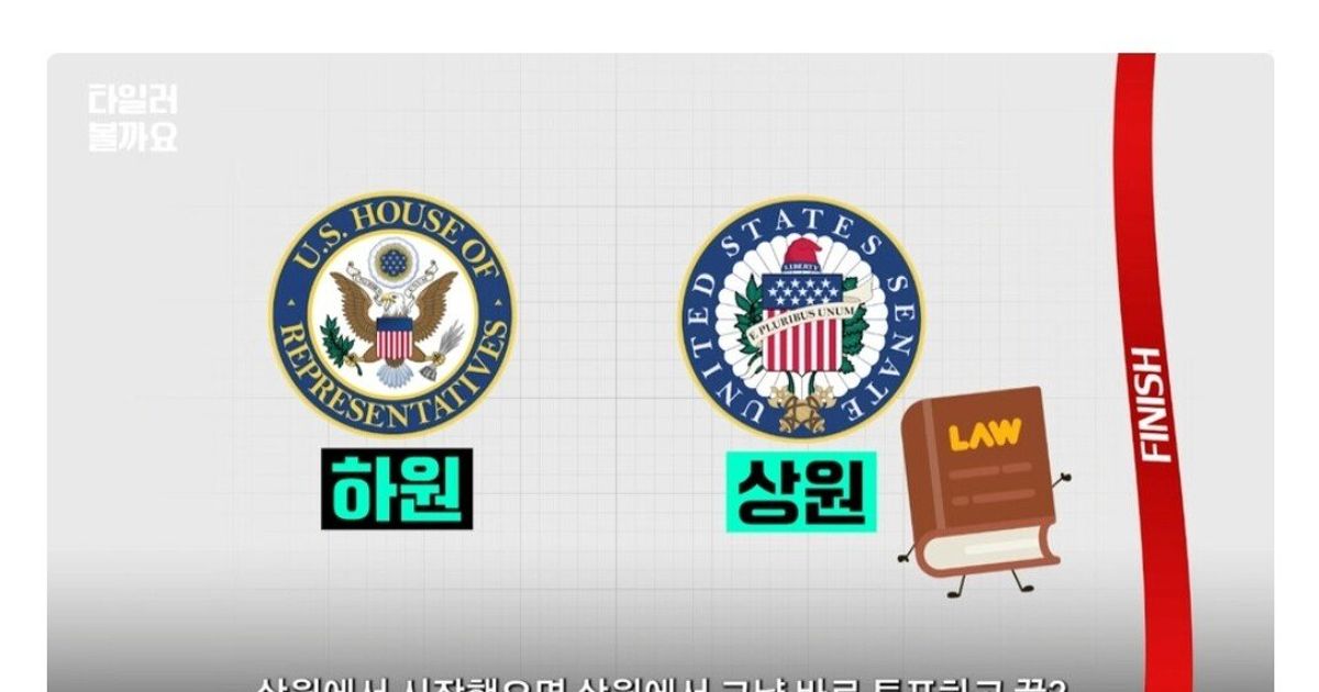 타일러가 말하는 미국에서 법안 통과가 엄청 느린 이유 		,,