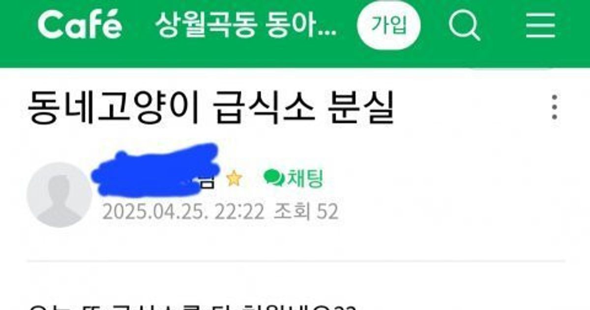 동네마다 한 개체씩 꼭 있는 캣맘