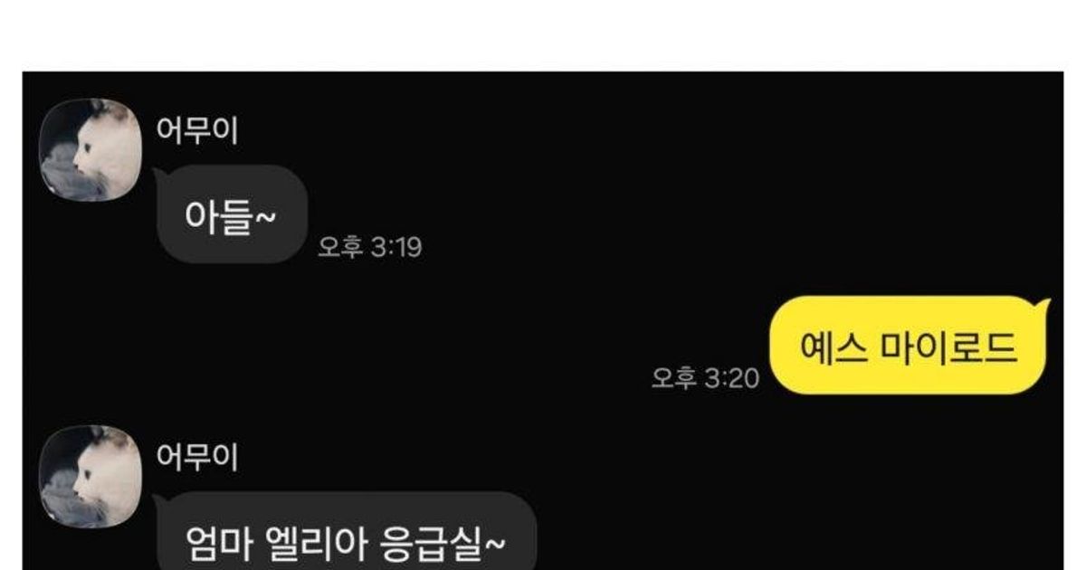 응급실에 실려간 형