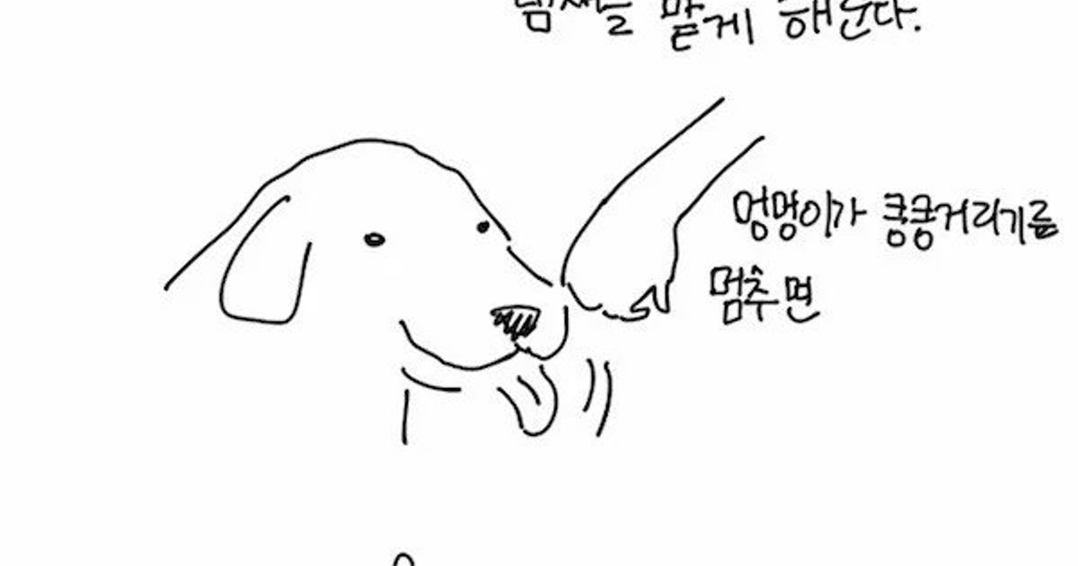 처음 보는 개를 만질때 매너