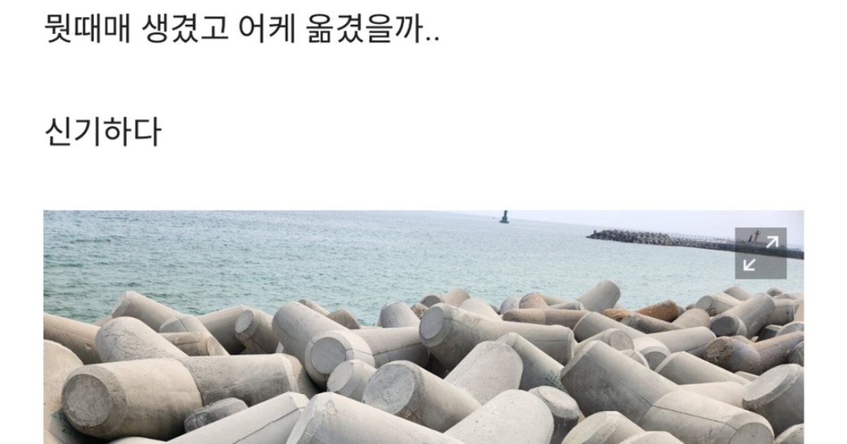 속초 바다에 이런거 있던데 		,,