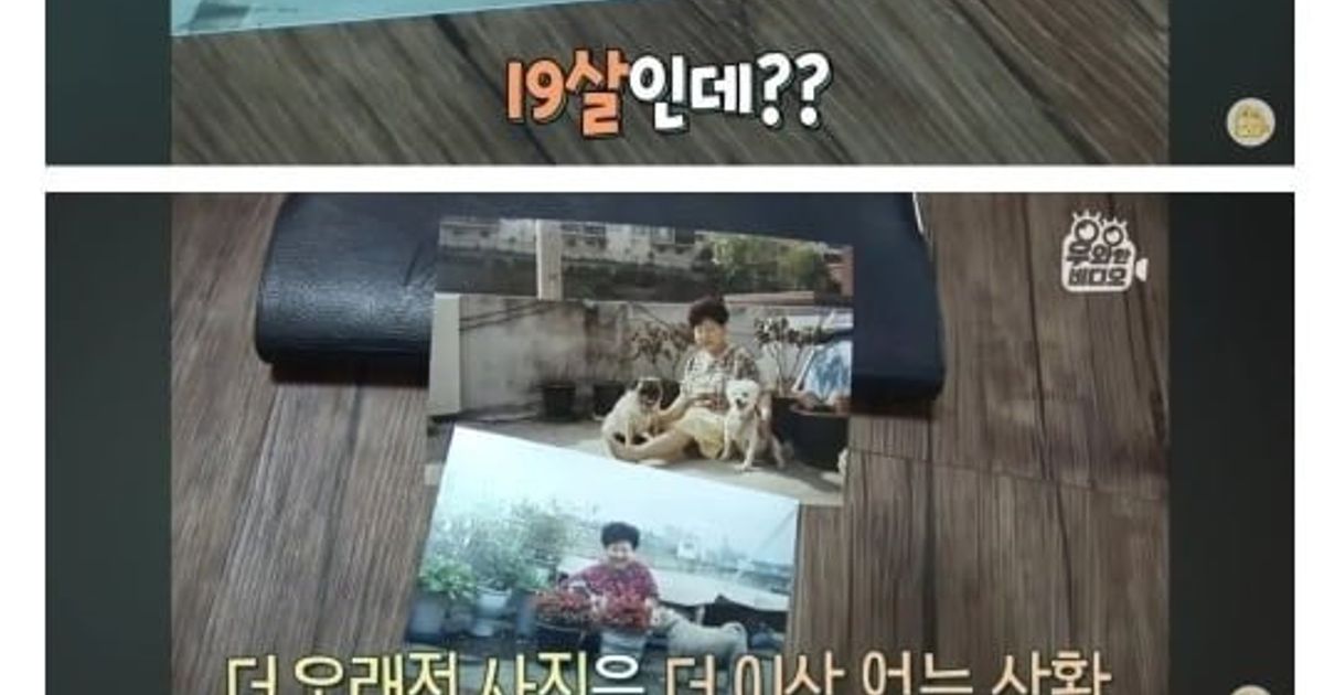 수의사회 총출동한 36년 장수한 강아지 ㄷㄷ..Jpg