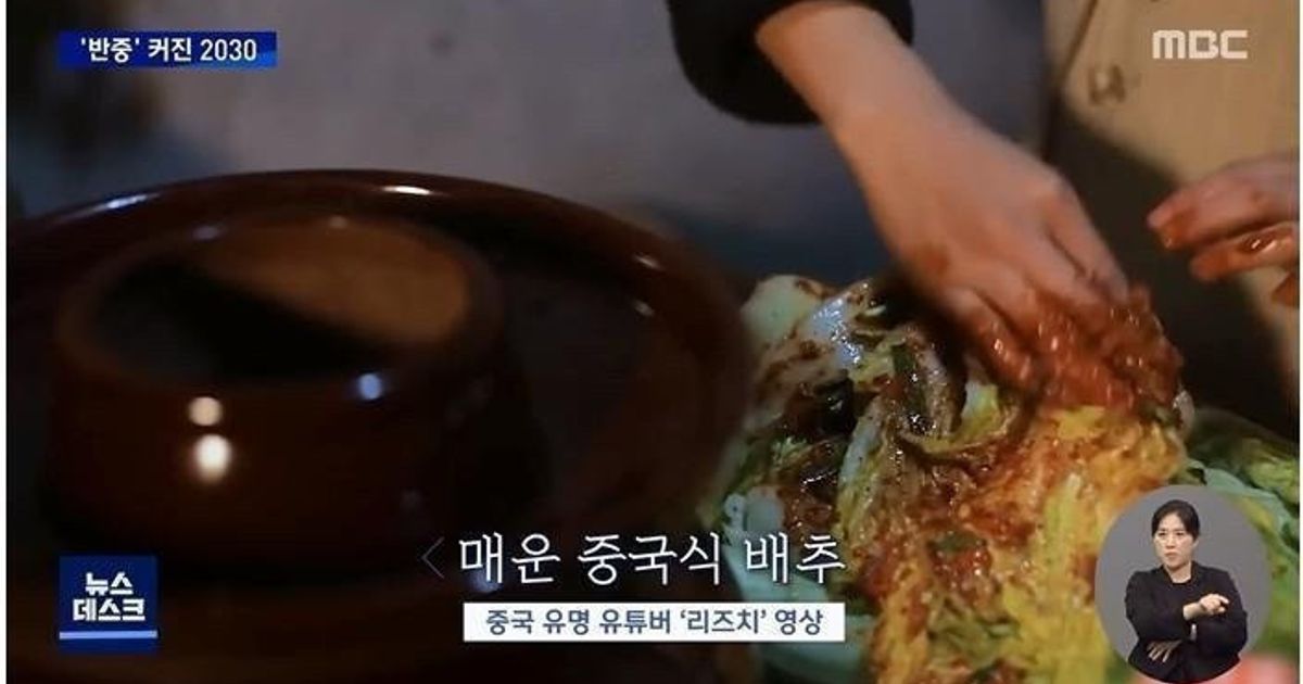 중국이 너무 싫다는 2030